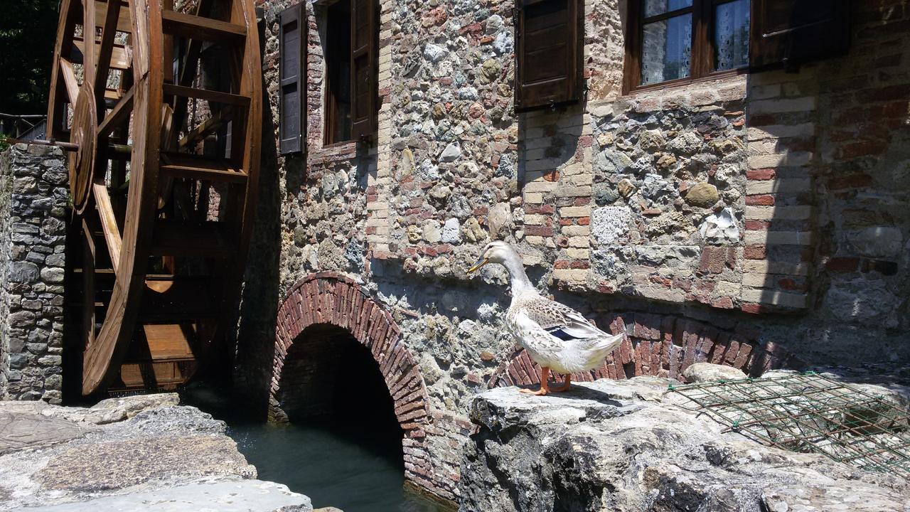 Agriturismo Il Mulino Delle Pile Chiusdino Eksteriør bilde