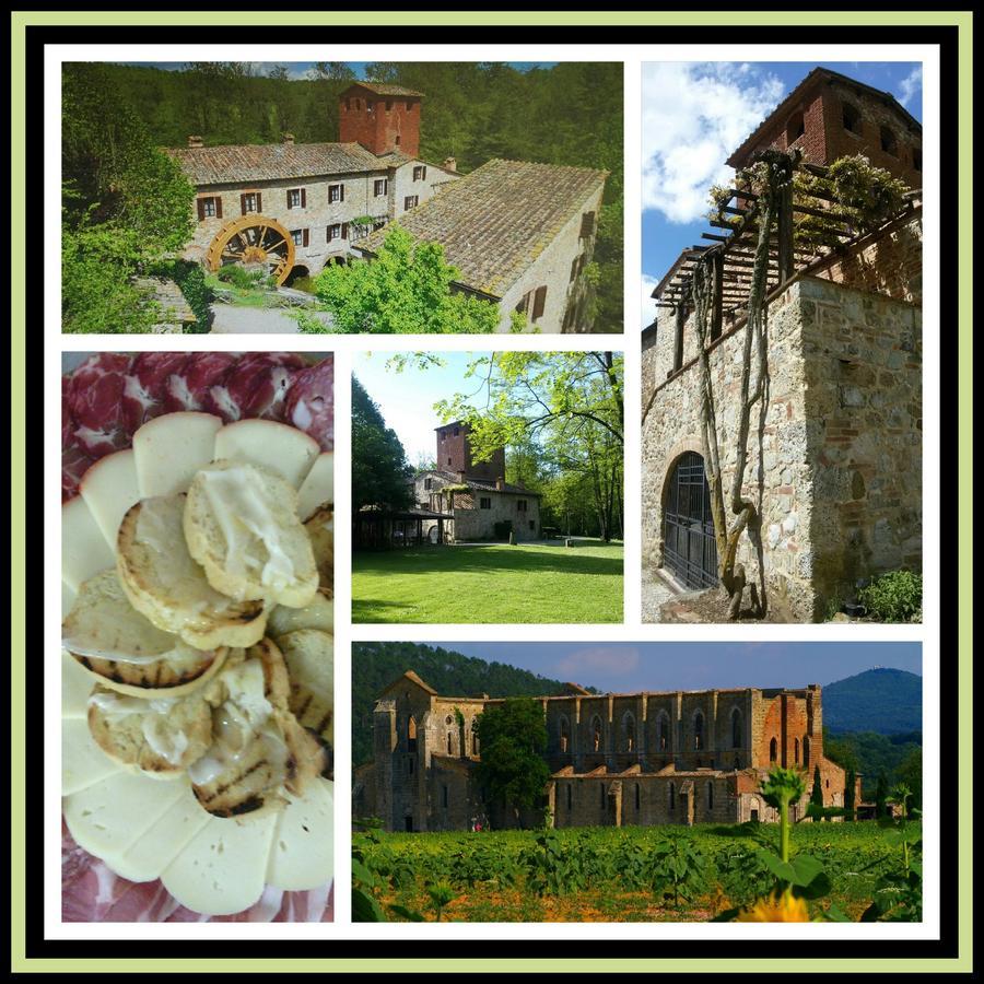Agriturismo Il Mulino Delle Pile Chiusdino Eksteriør bilde