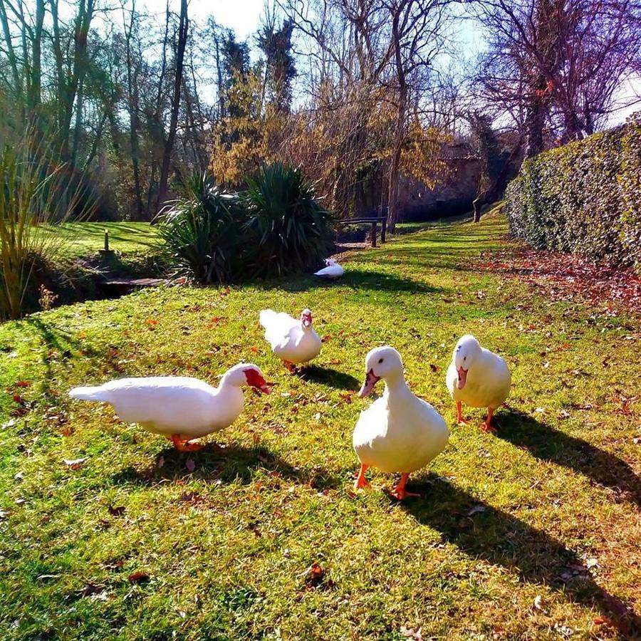 Agriturismo Il Mulino Delle Pile Chiusdino Eksteriør bilde