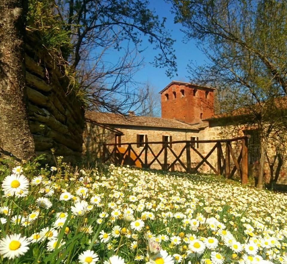 Agriturismo Il Mulino Delle Pile Chiusdino Eksteriør bilde