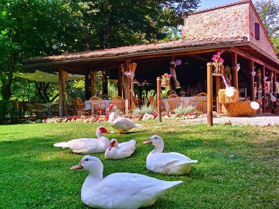 Agriturismo Il Mulino Delle Pile Chiusdino Eksteriør bilde