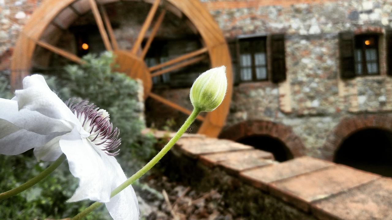 Agriturismo Il Mulino Delle Pile Chiusdino Eksteriør bilde